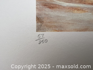MaxSold Auction: &#34;Racoons&#34; Lithograph by Christine Marshall with Certificate (57/250) - Markham (Ontario, Canada) SELLER MANAGED Estate Sale Online Auction - John Street (STORAGE)