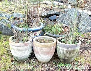 MaxSold Auction: Ceramic Pots - Port Townsend (Washington, USA) PARTNER MANAGED Estate Sale Online Auction - Rosewood Street