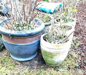 MaxSold Auction: Ceramic Pots - Port Townsend (Washington, USA) PARTNER MANAGED Estate Sale Online Auction - Rosewood Street