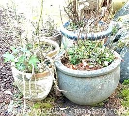 MaxSold Auction: Ceramic Pots - Port Townsend (Washington, USA) PARTNER MANAGED Estate Sale Online Auction - Rosewood Street