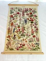 MaxSold Auction: Field Guides - Port Townsend (Washington, USA) PARTNER MANAGED Estate Sale Online Auction - Rosewood Street