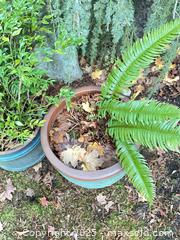 MaxSold Auction: Large Ceramic Pots - Port Townsend (Washington, USA) PARTNER MANAGED Estate Sale Online Auction - Rosewood Street