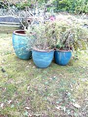 MaxSold Auction: Large Ceramic Pots - Port Townsend (Washington, USA) PARTNER MANAGED Estate Sale Online Auction - Rosewood Street