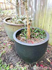 MaxSold Auction: Last of the Large Ceramic Pots - Port Townsend (Washington, USA) PARTNER MANAGED Estate Sale Online Auction - Rosewood Street