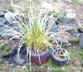 MaxSold Auction: Pair of Ceramic Pots - Port Townsend (Washington, USA) PARTNER MANAGED Estate Sale Online Auction - Rosewood Street