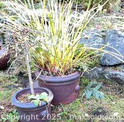 MaxSold Auction: Pair of Ceramic Pots - Port Townsend (Washington, USA) PARTNER MANAGED Estate Sale Online Auction - Rosewood Street