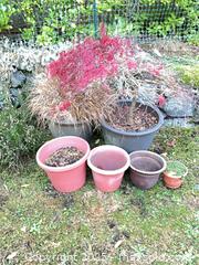 MaxSold Auction: Plastic Pots with plants or dirt - Port Townsend (Washington, USA) PARTNER MANAGED Estate Sale Online Auction - Rosewood Street