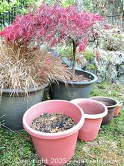 MaxSold Auction: Plastic Pots with plants or dirt - Port Townsend (Washington, USA) PARTNER MANAGED Estate Sale Online Auction - Rosewood Street