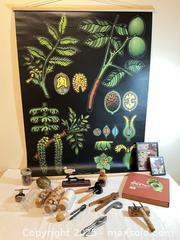 MaxSold Auction: Something for the nut enthusiast - Port Townsend (Washington, USA) PARTNER MANAGED Estate Sale Online Auction - Rosewood Street