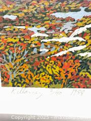 MaxSold Auction: Original Serigraph by David Peter Hunsburger &#34;Killarney&#34; - Flesherton (Ontario, Canada) PARTNER MANAGED Downsizing Online Auction - Road 160