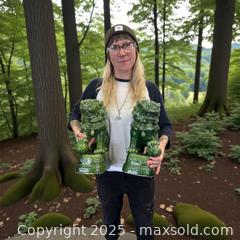 MaxSold Auction: Ceramic Chinese Foo Dogs - Esquimalt (British Columbia, Canada) PARTNER MANAGED Reseller Online Auction - Lampson Street