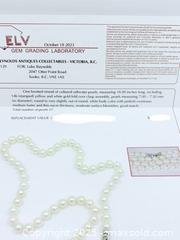 MaxSold Auction: Salt Water Pearl Necklace 14k Gold Clasp - Esquimalt (British Columbia, Canada) PARTNER MANAGED Reseller Online Auction - Lampson Street