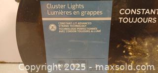 MaxSold Auction: Noma advanced xmas lights - Norfolk (Ontario, Canada) SELLER MANAGED Reseller Online Auction - Robinson Street