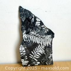 MaxSold Auction: Fern Fossil Shale Slab - Toronto (Ontario, Canada) SELLER MANAGED Downsizing Online Auction - Nassau Street