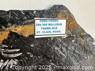 MaxSold Auction: Fern Fossil Shale Slab - Toronto (Ontario, Canada) SELLER MANAGED Downsizing Online Auction - Nassau Street