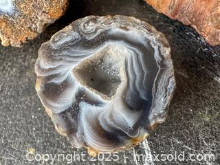 MaxSold Auction: Geodes and Petrified Wood - Toronto (Ontario, Canada) SELLER MANAGED Downsizing Online Auction - Nassau Street