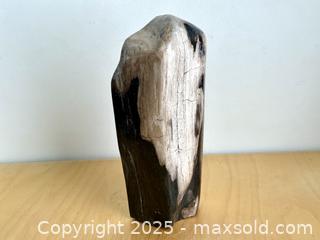 MaxSold Auction: Indonesian Petrified Wood, Polished - Toronto (Ontario, Canada) SELLER MANAGED Downsizing Online Auction - Nassau Street