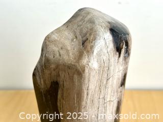 MaxSold Auction: Indonesian Petrified Wood, Polished - Toronto (Ontario, Canada) SELLER MANAGED Downsizing Online Auction - Nassau Street