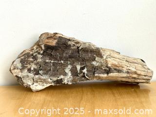 MaxSold Auction: Petrified Wood - Toronto (Ontario, Canada) SELLER MANAGED Downsizing Online Auction - Nassau Street