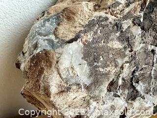MaxSold Auction: Petrified Wood - Toronto (Ontario, Canada) SELLER MANAGED Downsizing Online Auction - Nassau Street