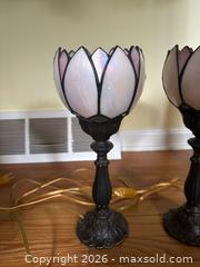 MaxSold Auction: Light of my Life - Maple Glen (Pennsylvania, USA) SELLER MANAGED Reseller Online Auction - Salaway Court
