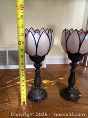 MaxSold Auction: Light of my Life - Maple Glen (Pennsylvania, USA) SELLER MANAGED Reseller Online Auction - Salaway Court