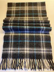 MaxSold Auction: Burberry Scarf - Toronto (Ontario, Canada) SELLER MANAGED Downsizing Online Auction - Lamb Avenue