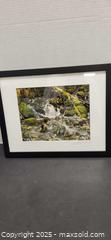 MaxSold Auction: Framed Photograph - Surrey (British Columbia, Canada) PARTNER MANAGED Downsizing Online Auction - 16 Avenue