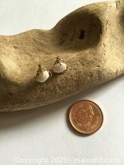 MaxSold Auction: Antique 14 Karat Gold Opal Stud Earrings - Saanich (British Columbia, Canada) PARTNER MANAGED Estate Sale Online Auction - Old West Saanich Road