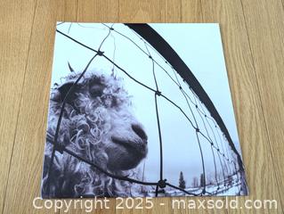 MaxSold Auction: Pearl Jam - Vs.  - Bradford West Gwillimbury (Ontario, Canada) PARTNER MANAGED Downsizing Online Auction - Downy Emerald Drive