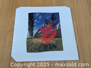 MaxSold Auction: Pink Floyd - Wish You Were Here  - Bradford West Gwillimbury (Ontario, Canada) PARTNER MANAGED Downsizing Online Auction - Downy Emerald Drive