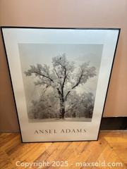 MaxSold Auction: Ansel Adams "Oak Tree" Framed Photographic Print (Matted) - Mississippi Mills (Ontario, Canada) SELLER MANAGED Downsizing Online Auction - Rae Road