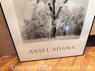 MaxSold Auction: Ansel Adams "Oak Tree" Framed Photographic Print (Matted) - Mississippi Mills (Ontario, Canada) SELLER MANAGED Downsizing Online Auction - Rae Road