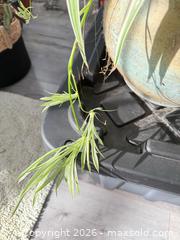 MaxSold Auction: 2 Spider Plants in Large Copper pots - Smith Falls (Ontario, Canada) PARTNER MANAGED Downsizing Online Auction - Rainbow Valley Drive