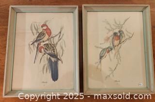 MaxSold Auction: John Gould - Bird Prints framed - Mallorytown (Ontario, Canada) SELLER MANAGED Downsizing Online Auction - County Road 2
