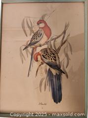 MaxSold Auction: John Gould - Bird Prints framed - Mallorytown (Ontario, Canada) SELLER MANAGED Downsizing Online Auction - County Road 2