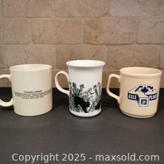 MaxSold Auction: 3 Mixed Mugs GM Plant Cats and Geese! - Grimsby (Ontario, Canada) SELLER MANAGED Reseller Online Auction - Mountview Avenue