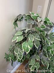 MaxSold Auction: Faux Tree B - Greater Napanee (Ontario, Canada) PARTNER MANAGED Estate Sale Online Auction - River Road