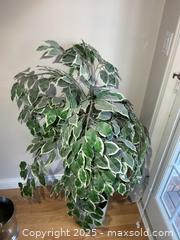 MaxSold Auction: Faux Tree B - Greater Napanee (Ontario, Canada) PARTNER MANAGED Estate Sale Online Auction - River Road