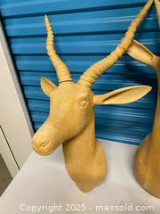 MaxSold Auction: Pair of Carved Wooden Antelope Wall Mount Sculptures – Approx. 28” &#38; 24” – Solid Wood - Vancouver (British Columbia, Canada) SELLER MANAGED Reseller Online Auction - East 7th Avenue (STORAGE)