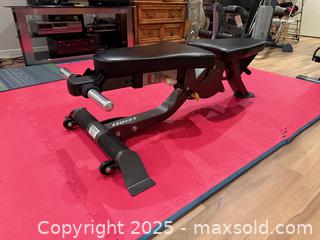 MaxSold Auction: Hoist Adjustable Fitness Bench - Toronto (Ontario, Canada) SELLER MANAGED Moving Online Auction - Chipstead