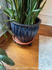 MaxSold Auction: Snake Plant #2 - Toronto (Ontario, Canada) SELLER MANAGED Moving Online Auction - Chipstead