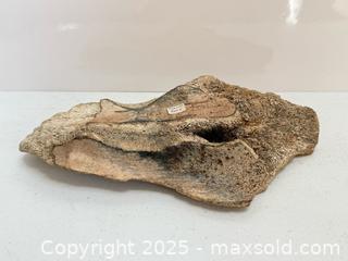 MaxSold Auction: Ancient Wooly Mammoth Bone Fossil Fragment  - Toronto (Ontario, Canada) PARTNER MANAGED Estate Sale Online Auction - Merton Street