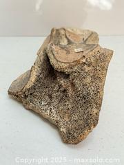 MaxSold Auction: Ancient Wooly Mammoth Bone Fossil Fragment  - Toronto (Ontario, Canada) PARTNER MANAGED Estate Sale Online Auction - Merton Street