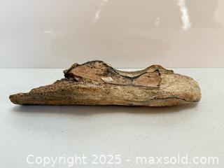 MaxSold Auction: Ancient Wooly Mammoth Bone Fossil Fragment  - Toronto (Ontario, Canada) PARTNER MANAGED Estate Sale Online Auction - Merton Street