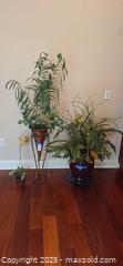 MaxSold Auction: Lot of 3 Decorative Artificial Plants with Pots and Stands - Lakeland (Florida, USA) PARTNER MANAGED Estate Sale Online Auction - Canyon Lake Point