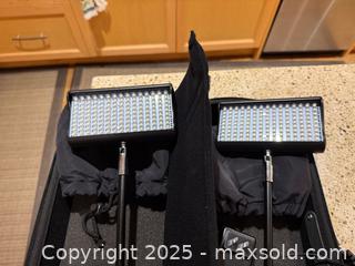 MaxSold Auction: Pair of Display LED Light Lamps in Case A - Surrey (British Columbia, Canada) SELLER MANAGED Downsizing Online Auction -  75a Avenue