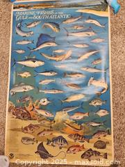 MaxSold Auction: Vtg NOAA Marine Fish Of The Gulf Posters - Riverview (Florida, USA) SELLER MANAGED Downsizing Online Auction - Holly Heath Drive
