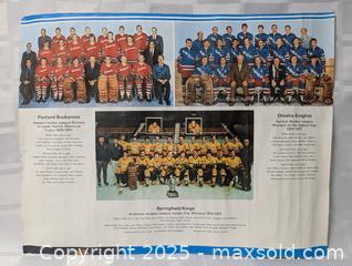 MaxSold Auction: 1971 TORONTO MAPLE LEAFS CALENDAR PAGE - Kingston (Ontario, Canada) SELLER MANAGED Downsizing Online Auction - Rosemund Crescent