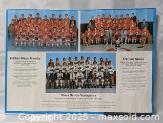 MaxSold Auction: 1972 TORONTO MAPLE LEAFS CALENDAR PAGE - Kingston (Ontario, Canada) SELLER MANAGED Downsizing Online Auction - Rosemund Crescent